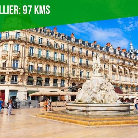 L'Olivier - 2 Terrasses - Clim Ac - Wifi - Proche Theatres Appartement Avignon Buitenkant foto
